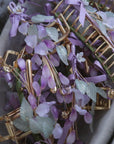 Wisteria Hair Claw