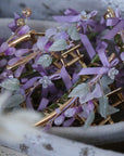 Wisteria Hair Claw