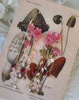 Cherry Blossom Earrings