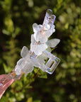 Butterfly Hair Claw