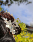 Butterfly Hair Claw