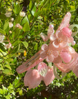 Pink Tulip Bloom Hair Claw