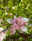 Blush Bloom Butterfly Hair Clip