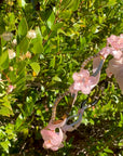Blush Bloom Ribbon Headband