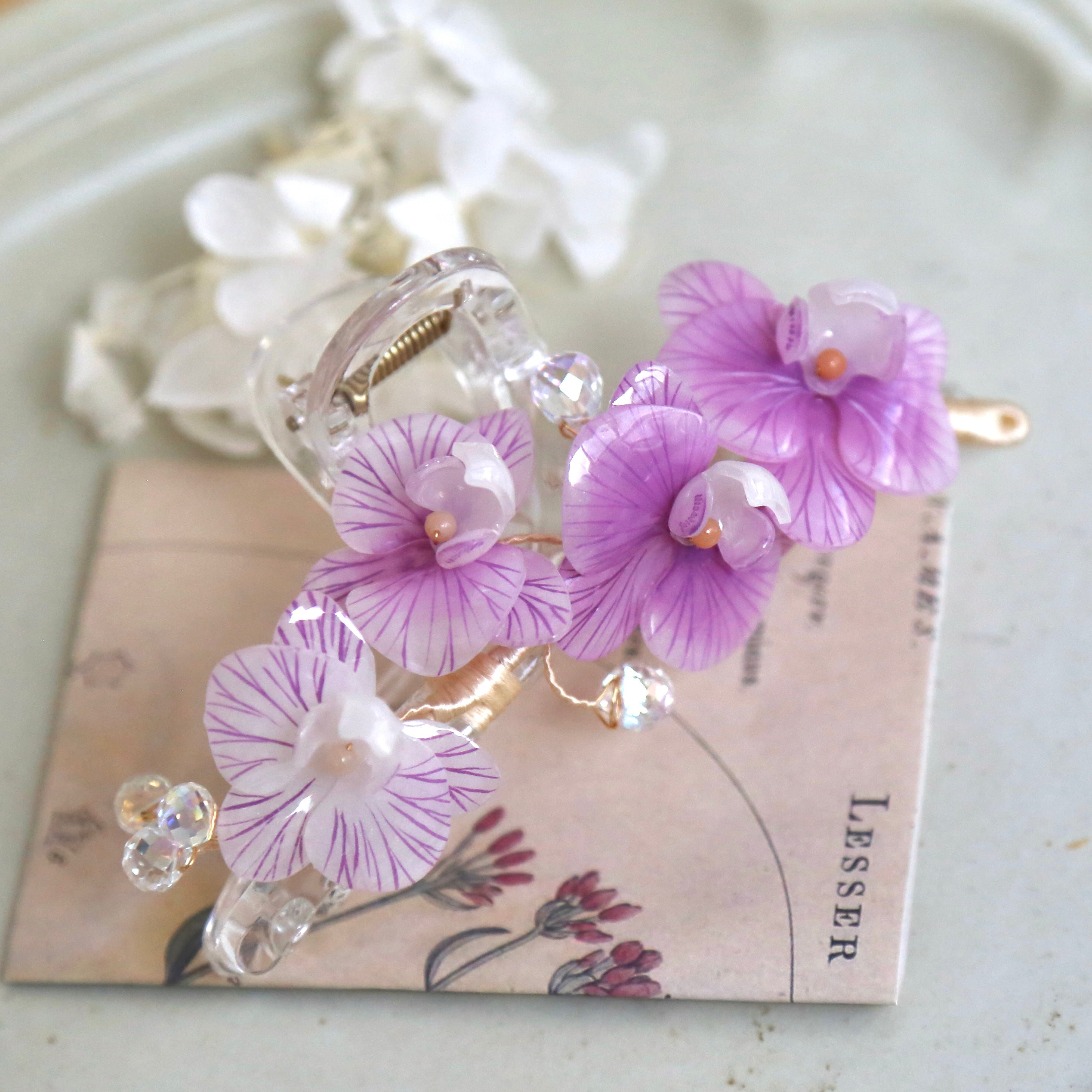 Phalaenopsis Orchid Hair Claws