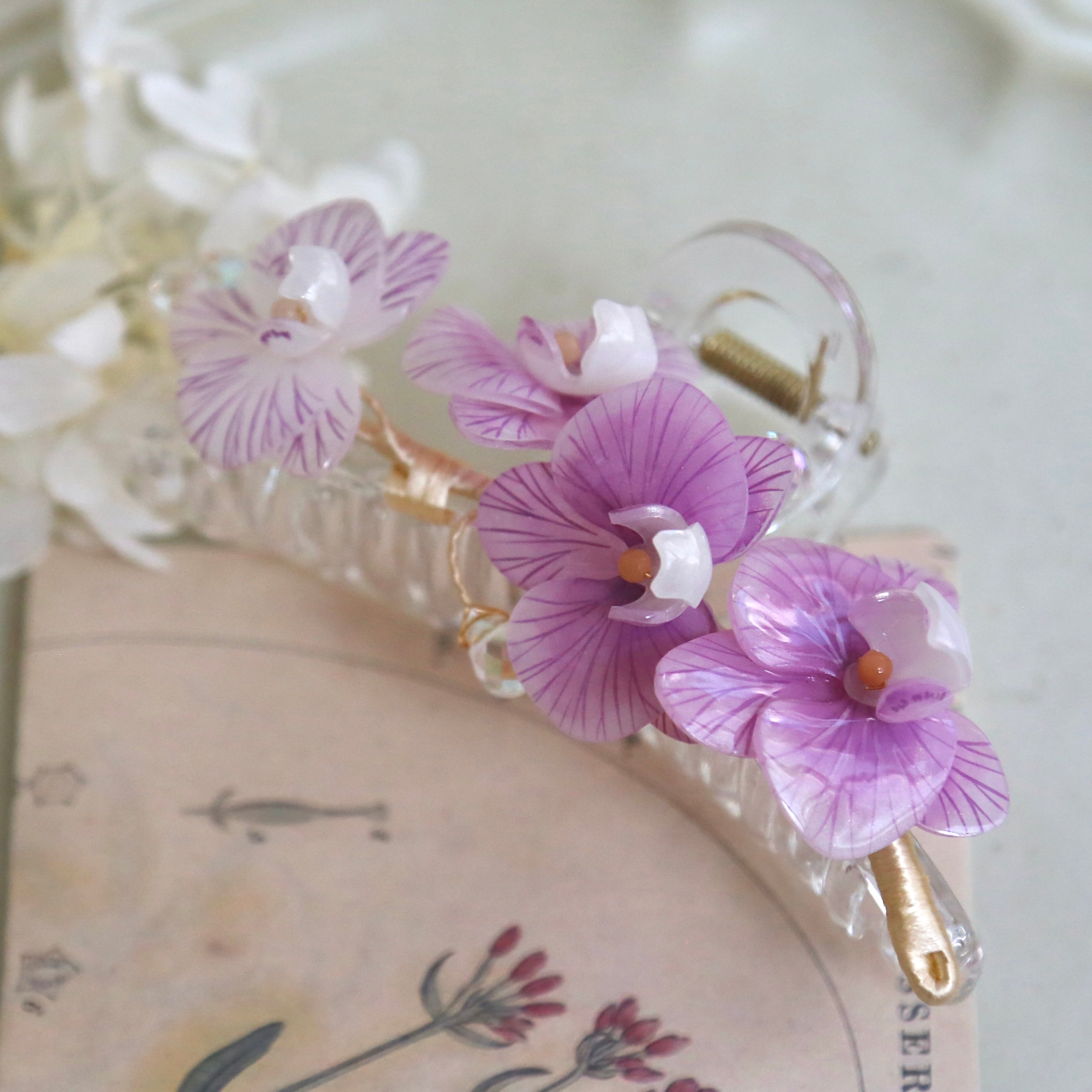 Phalaenopsis Orchid Hair Claws