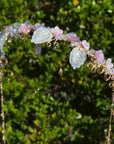 Purple Hydrangea Tiara