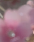 Shrink Plastic Sakura Bracelets