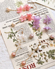 Peach Blossom Earrings