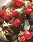 Apple Hair Clips
