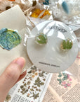 Real Flower Resin Stud Earrings