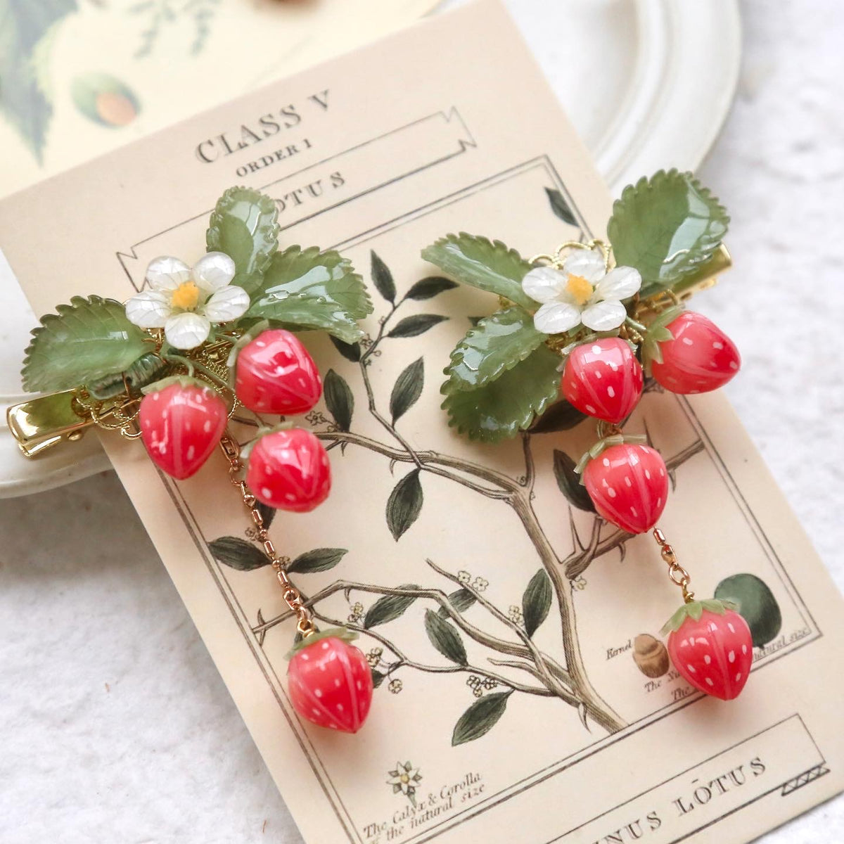 Woodland Collection